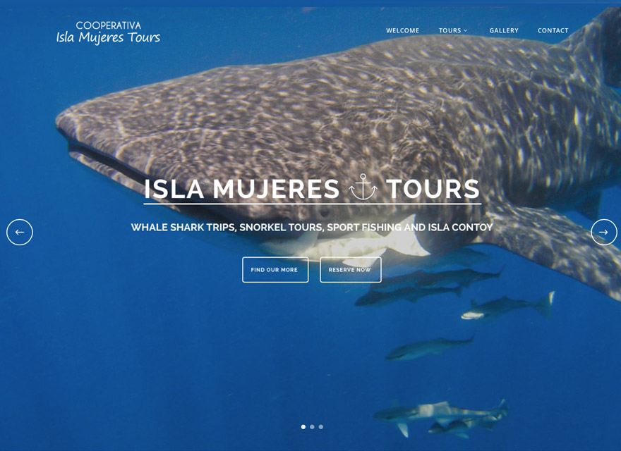 Coorperative Isla Mujeres Tours
