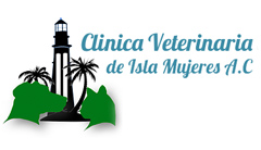 Vet Clinic Isla Mujeres