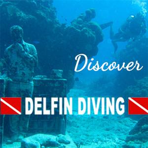 Delfin Diving Isla Mujeres