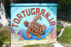 Isla Mujeres Turtle Farm