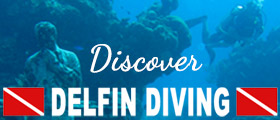 Delfin Diving Isla Mujeres